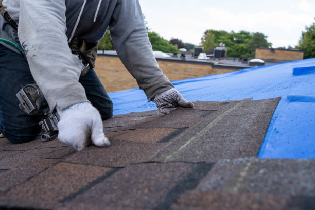 Gutter Replacement in Camden, AL